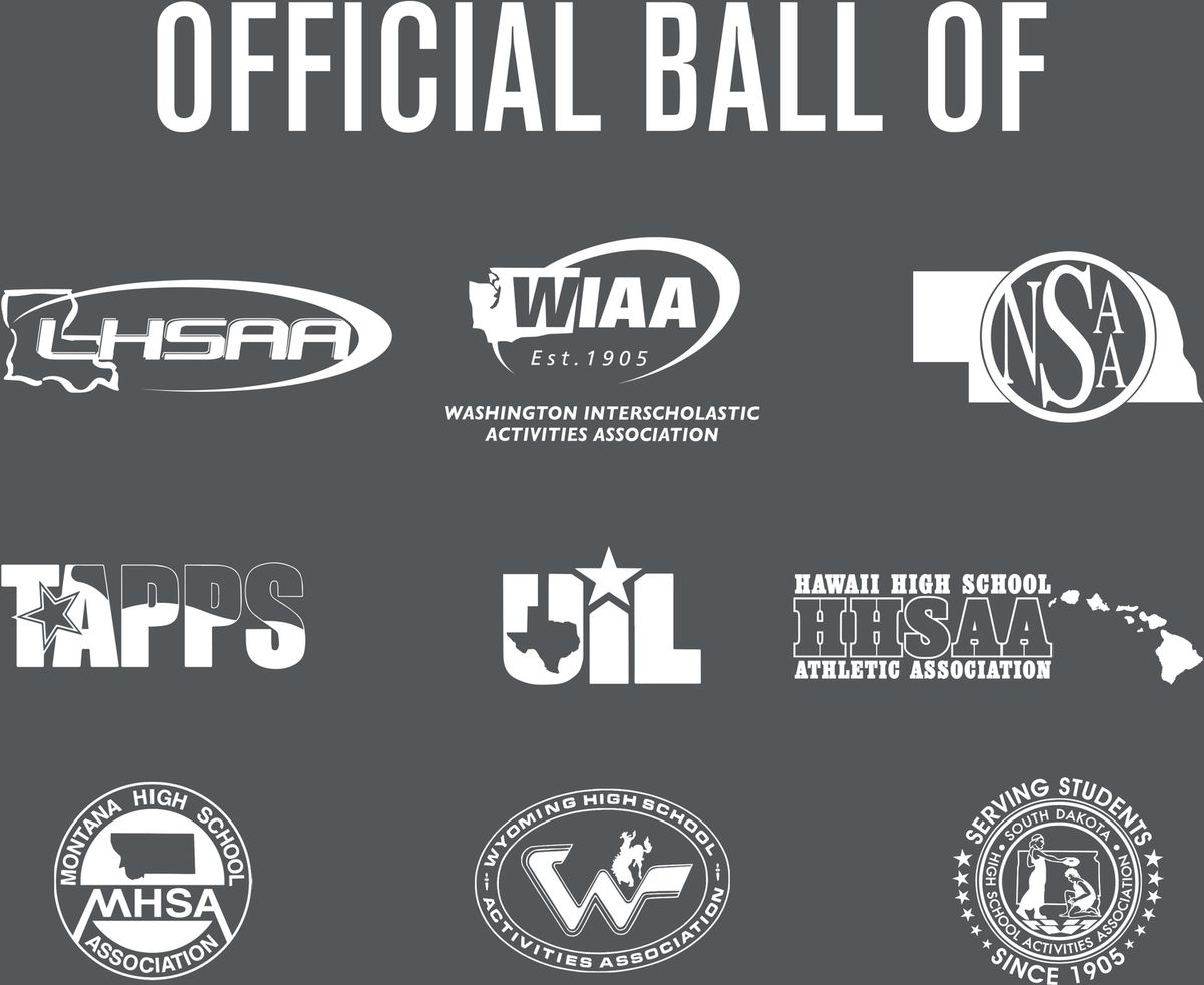 Baden Elite Pro Official Game Basketball NFHS Stamped