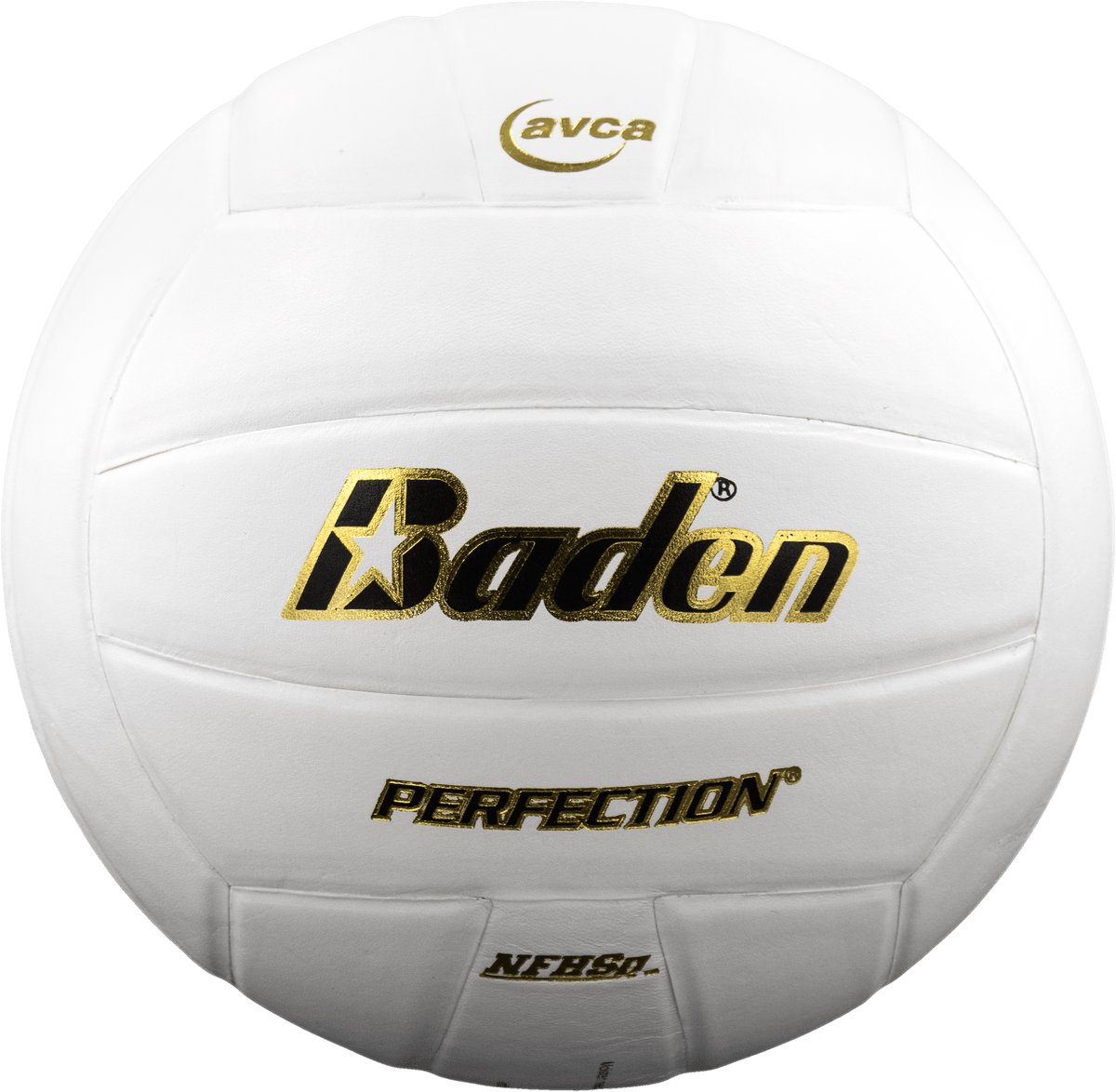 Perfection Leather Volleyball