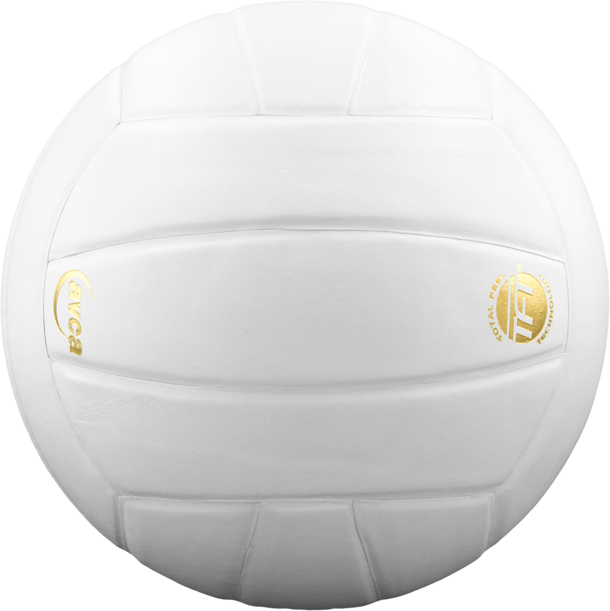 Baden Perfection Leather Volleyball NFHS Stamped