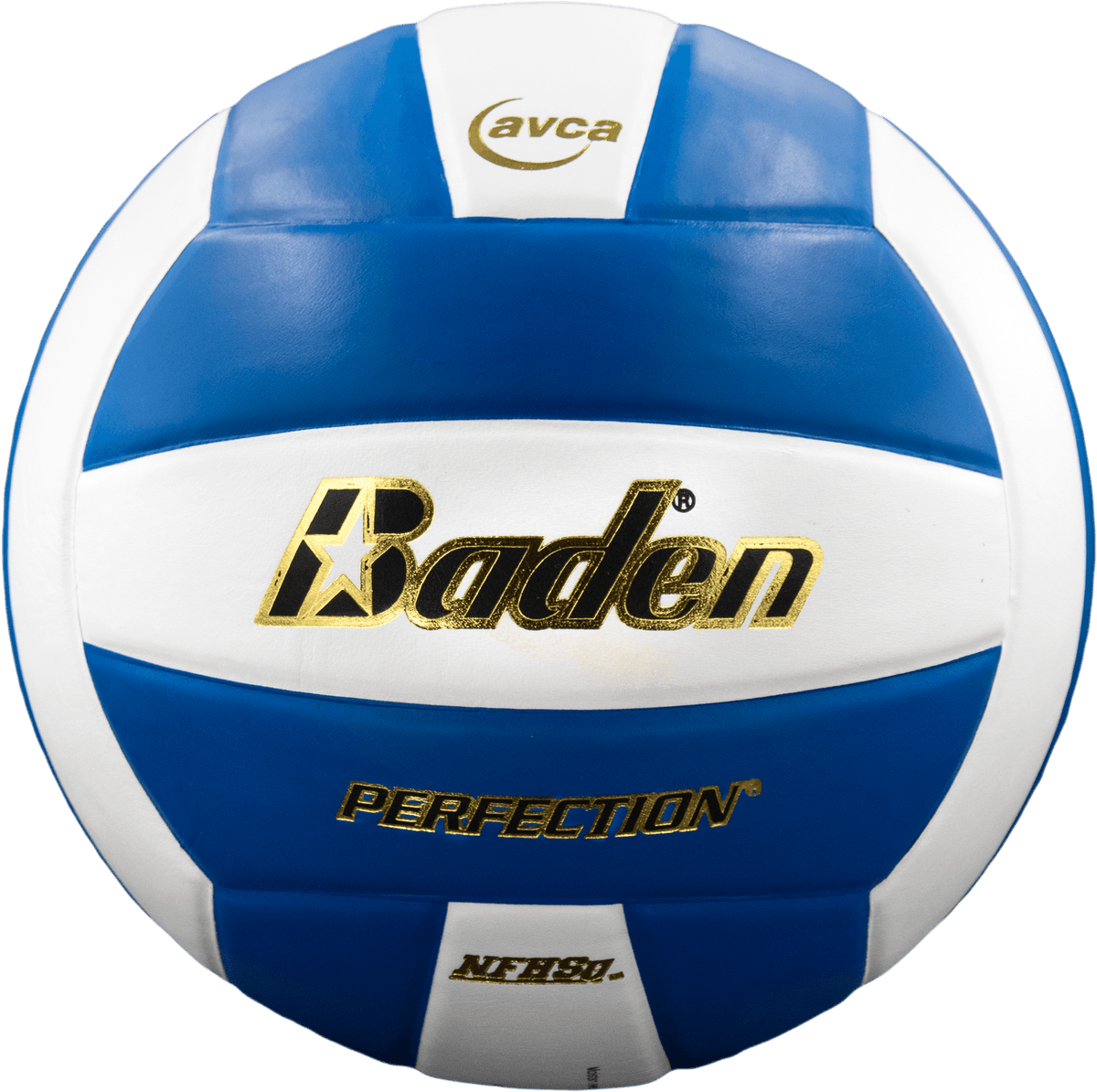 Baden Perfection Leather Volleyball NFHS Stamped
