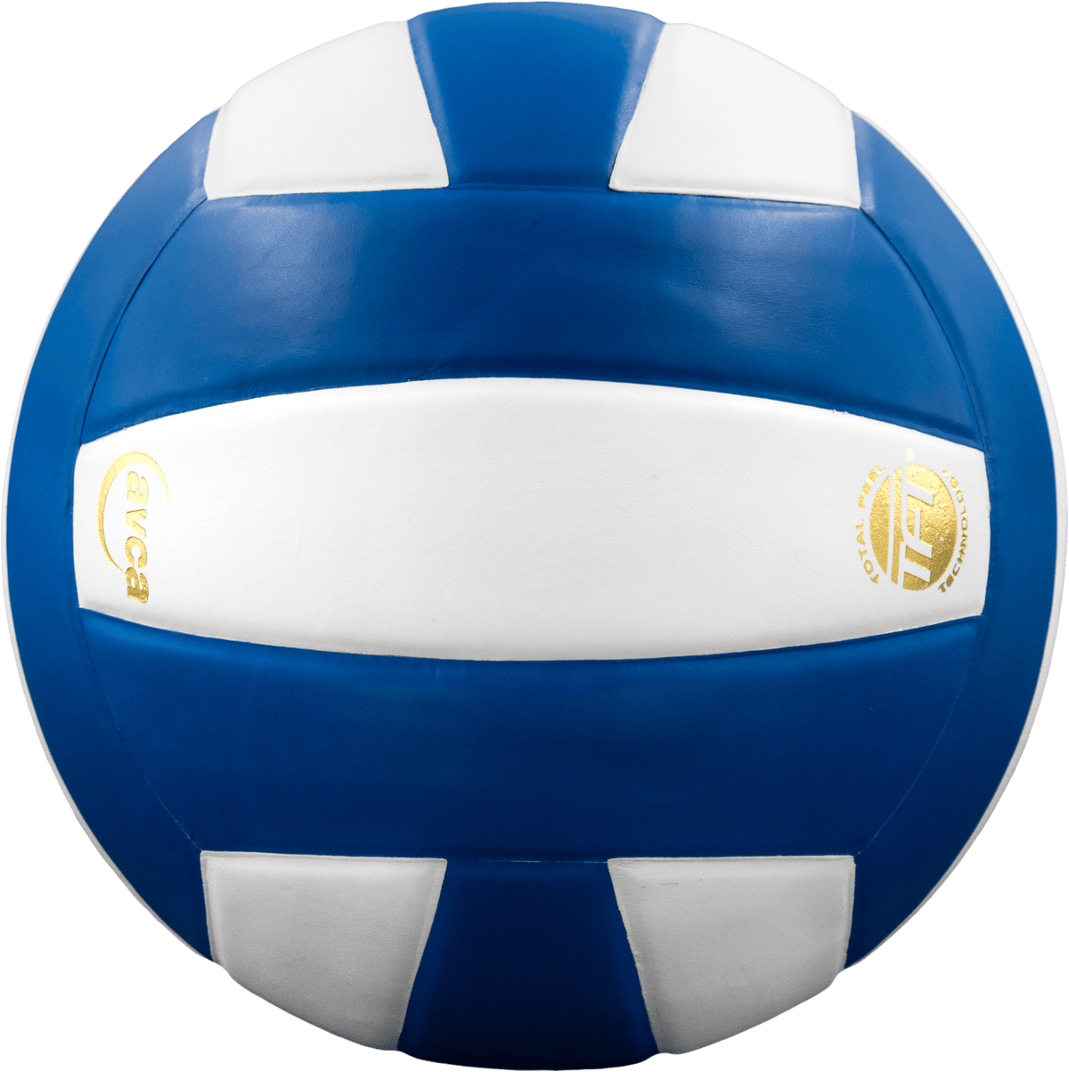 Perfection Leather Volleyball