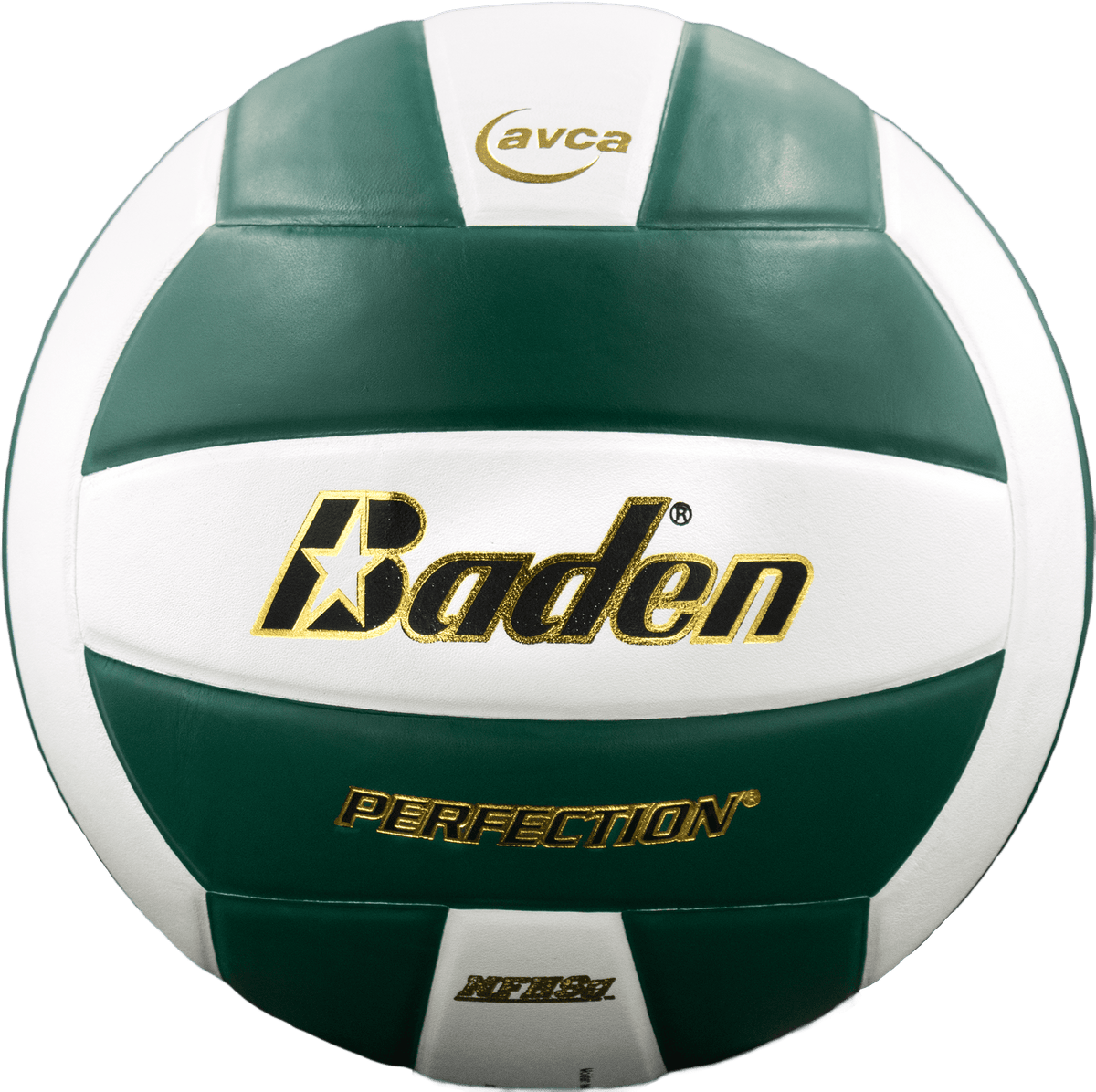 Baden Perfection Leather Volleyball NFHS Stamped