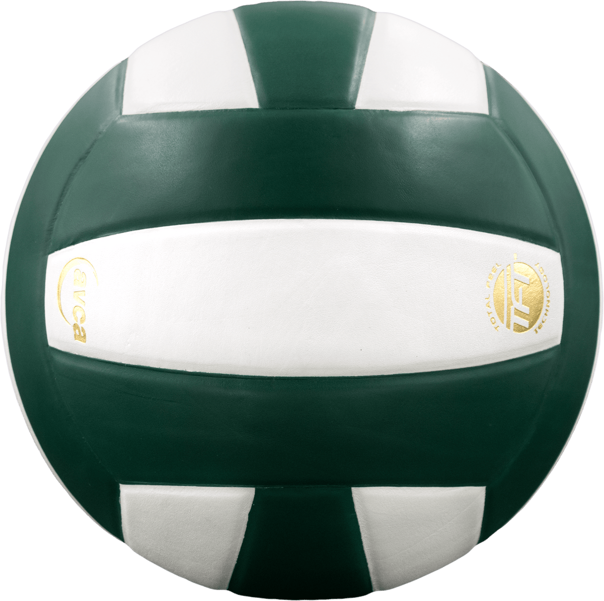 Baden Perfection Leather Volleyball NFHS Stamped