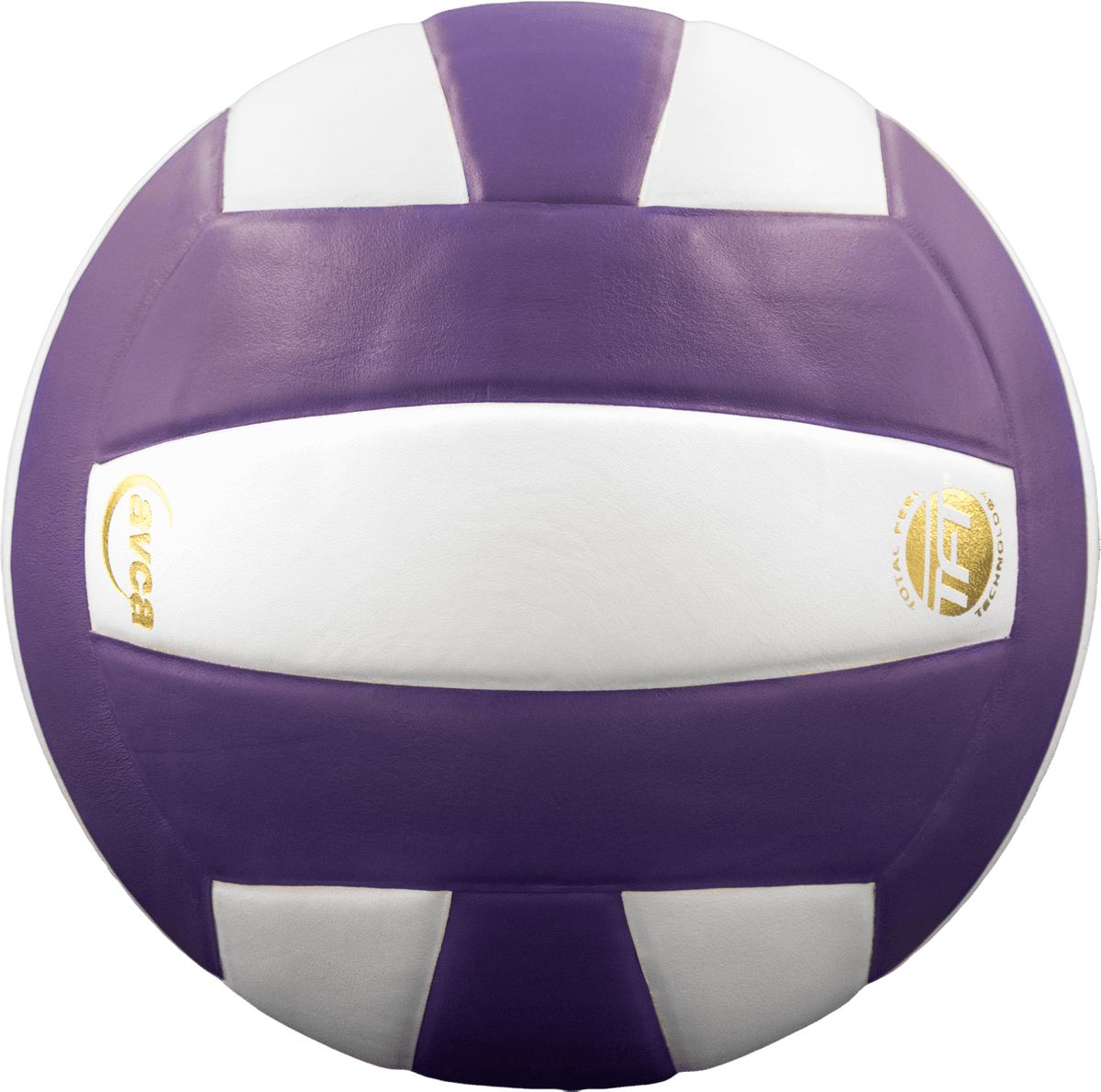 Baden Perfection Leather Volleyball NFHS Stamped