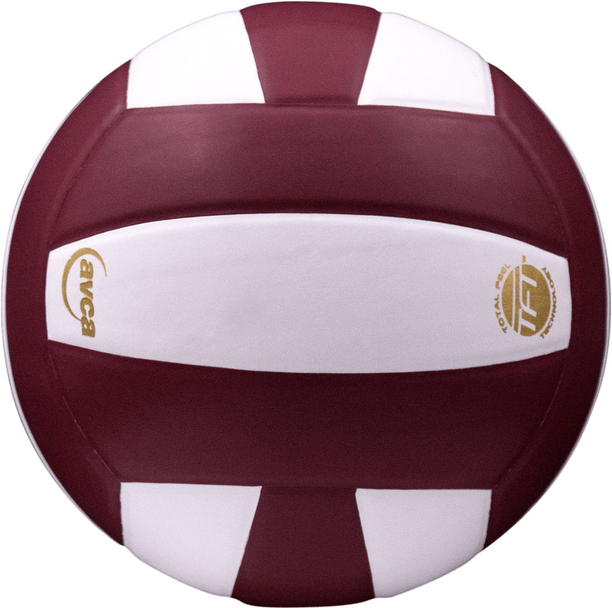 Baden Perfection Leather Volleyball NFHS Stamped