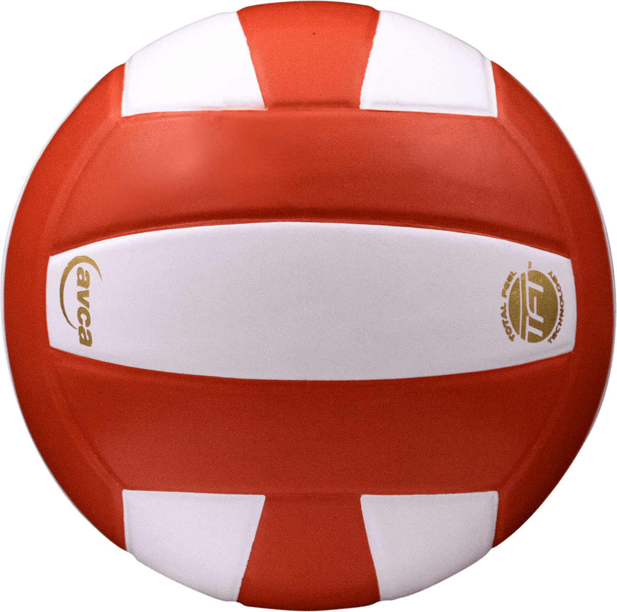 Baden Perfection Leather Volleyball NFHS Stamped