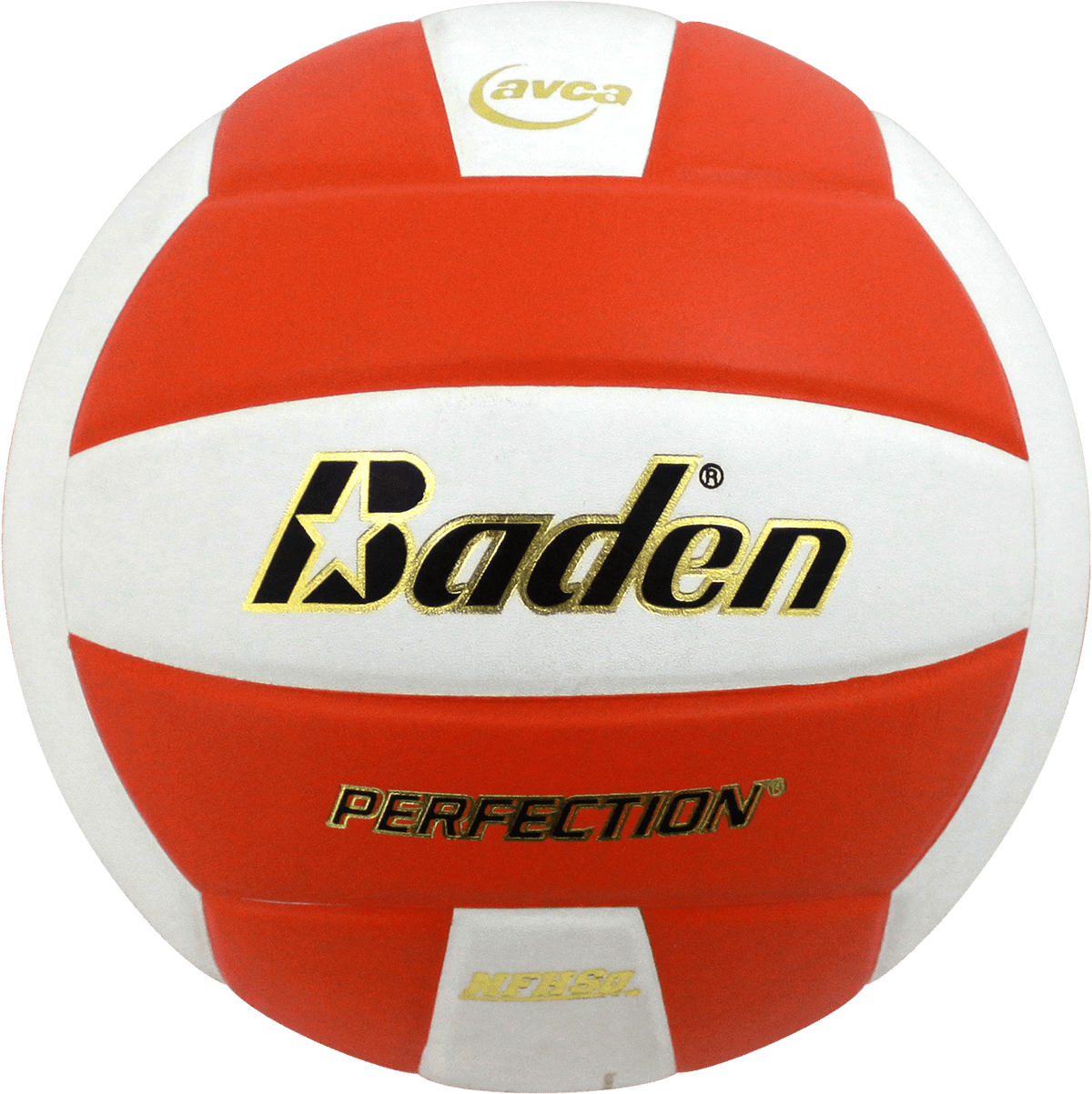 Baden Perfection Leather Volleyball NFHS Stamped