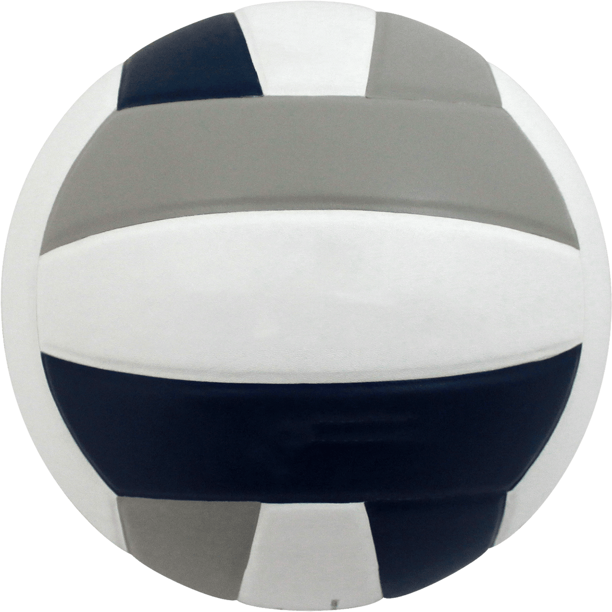 Baden Perfection Leather Volleyball NFHS Stamped