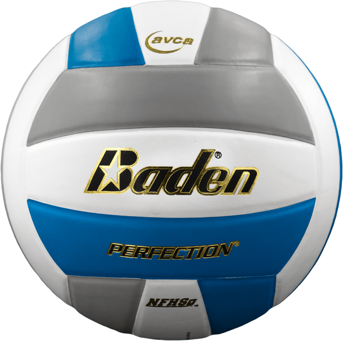 Perfection Leather Volleyball