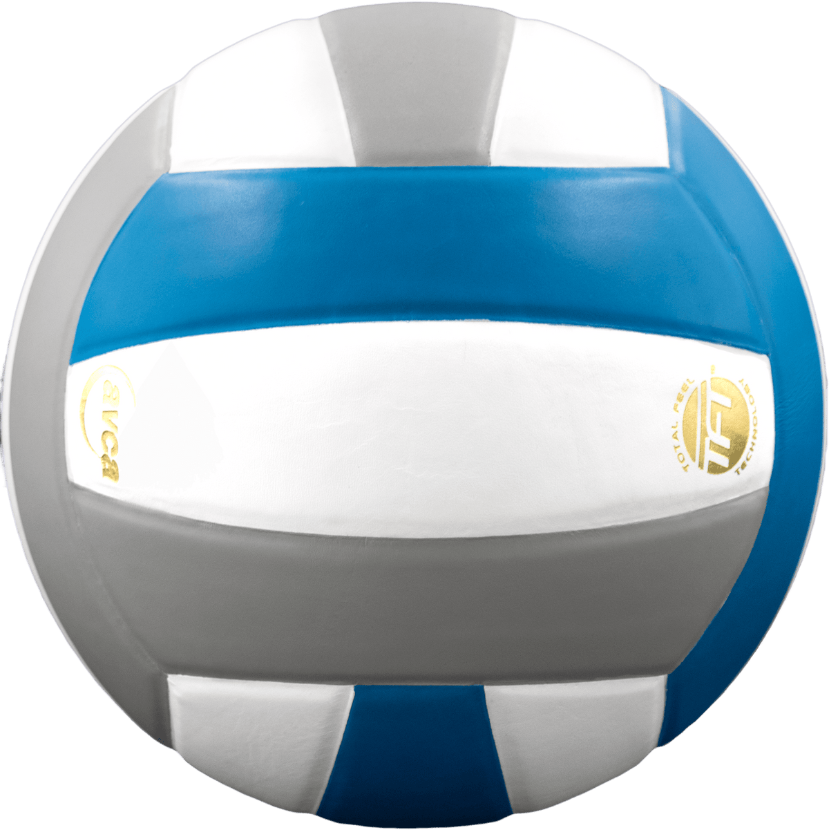 Baden Perfection Leather Volleyball NFHS Stamped