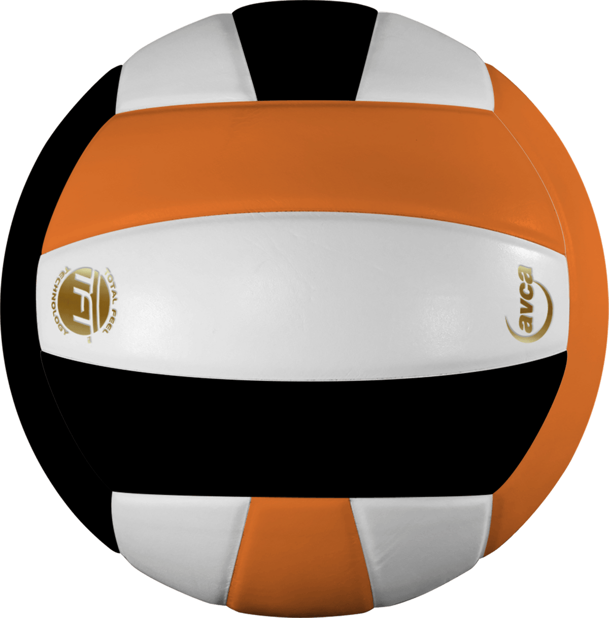 Baden Perfection Leather Volleyball NFHS Stamped