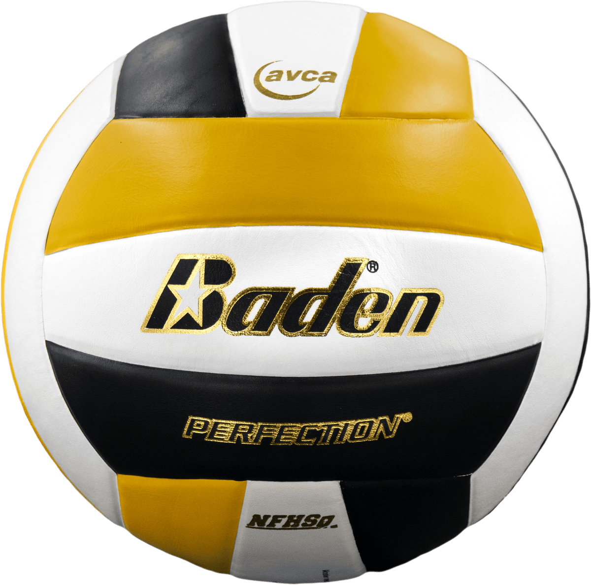 Baden Perfection Leather Volleyball NFHS Stamped