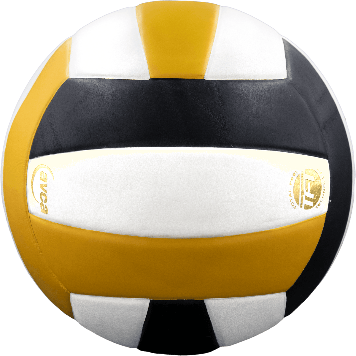 Baden Perfection Leather Volleyball NFHS Stamped
