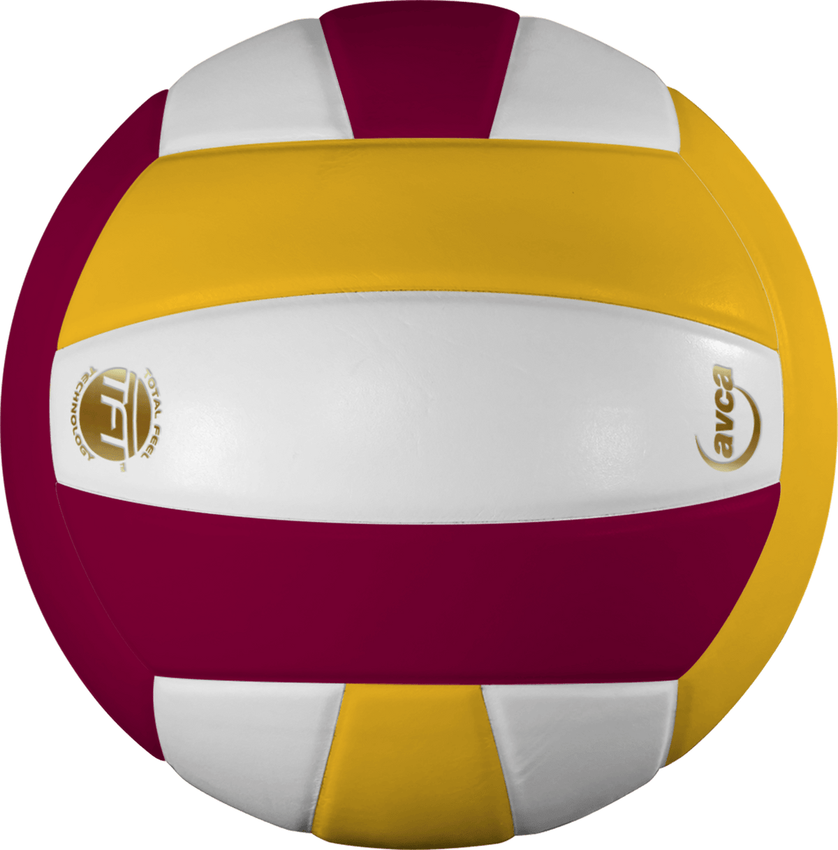 Baden Perfection Leather Volleyball NFHS Stamped