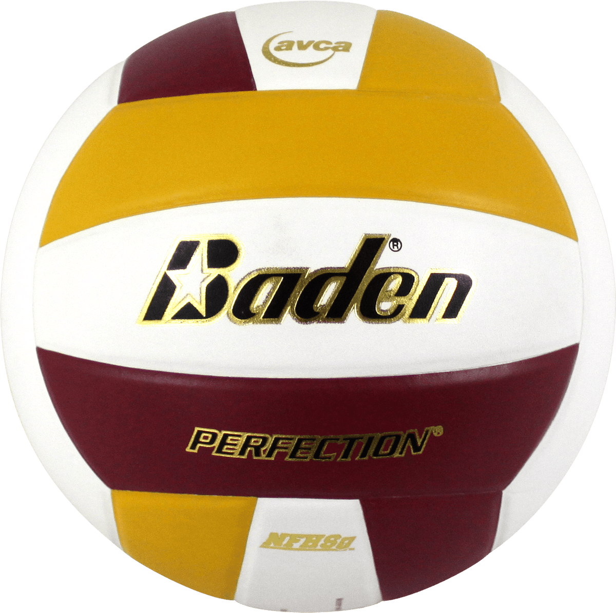 Baden Perfection Leather Volleyball NFHS Stamped