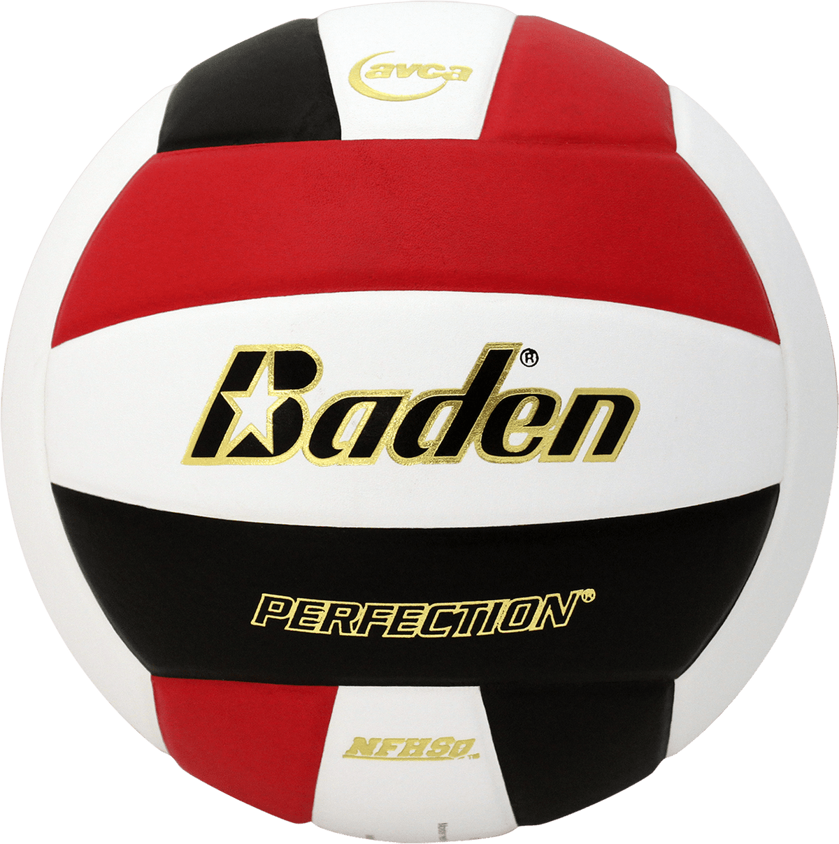 Baden Perfection Leather Volleyball NFHS Stamped