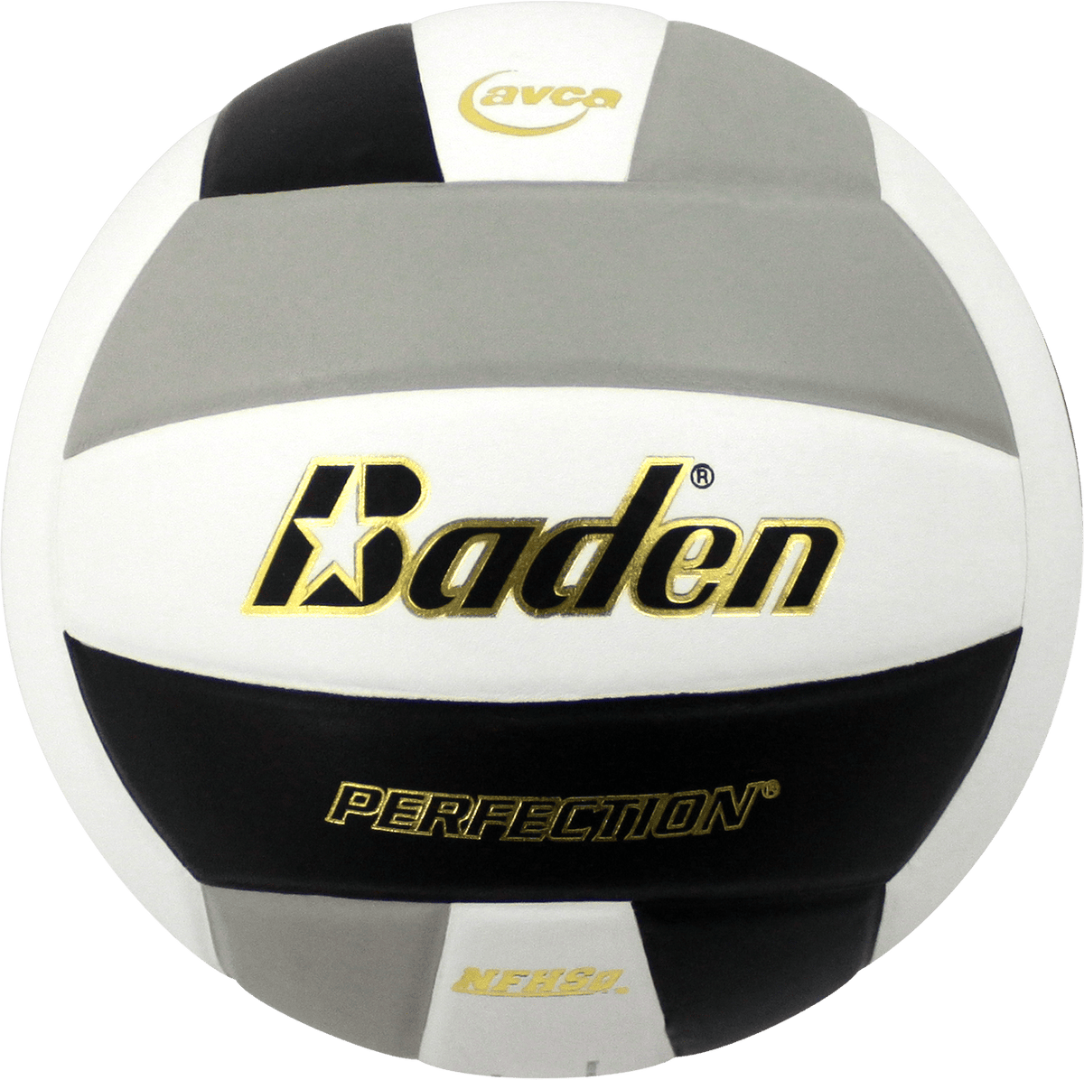 Baden Perfection Leather Volleyball NFHS Stamped