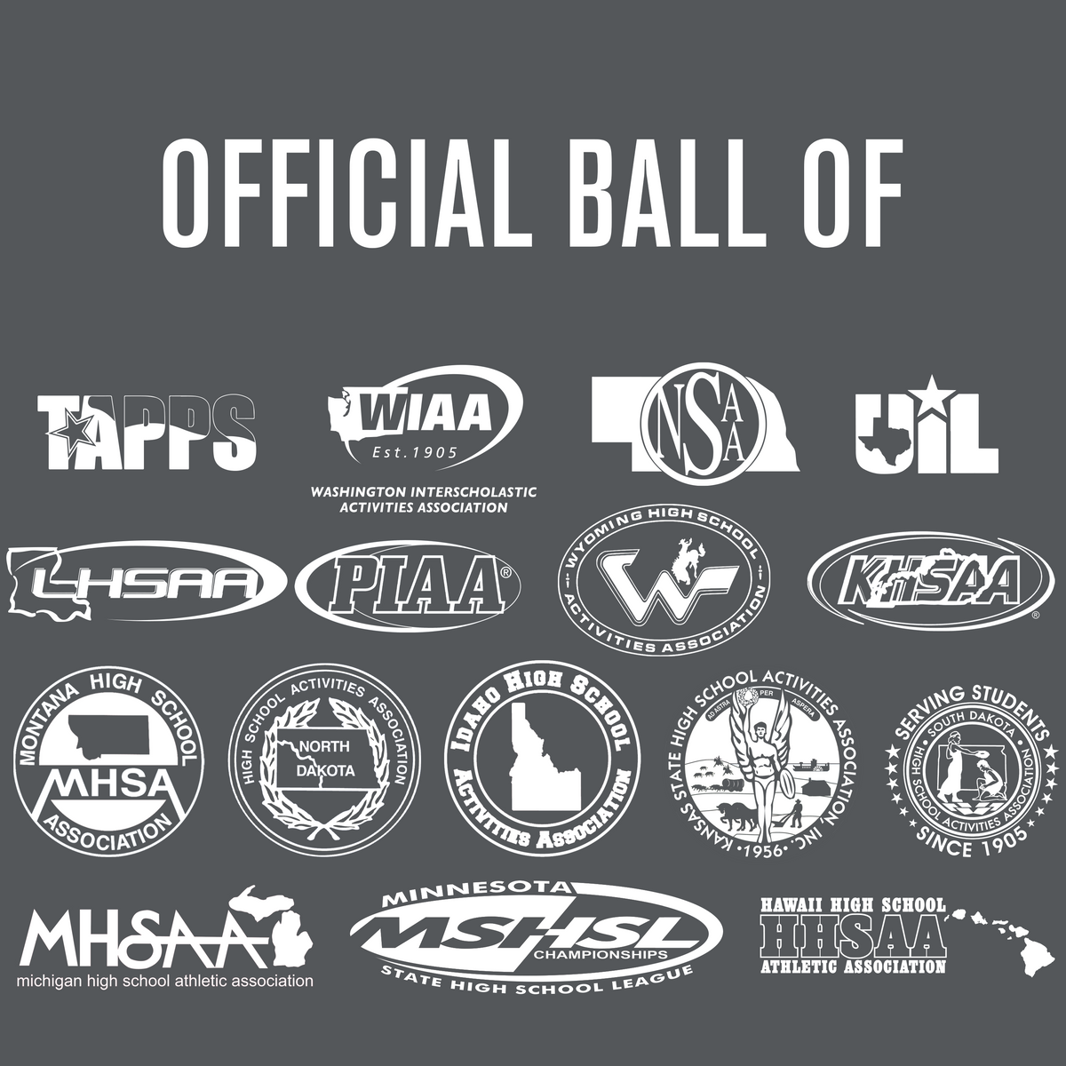 Baden Sports Perfection Leather Volleyball Non Nfhs