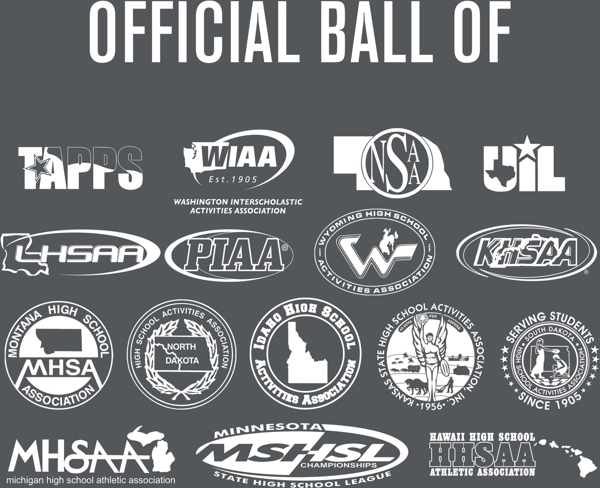 Baden Perfection Leather Volleyball NFHS Stamped