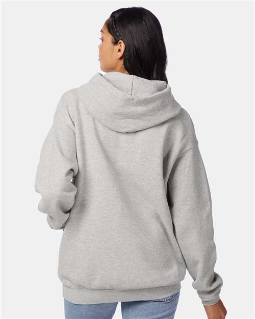 Ash Ecosmart® Hooded Sweatshirt - P170