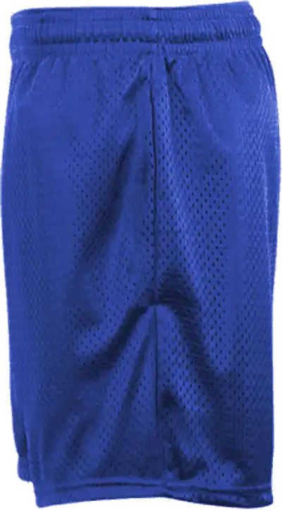 Badger Sport 722500 Mesh Tricot 5’’ Short - Royal