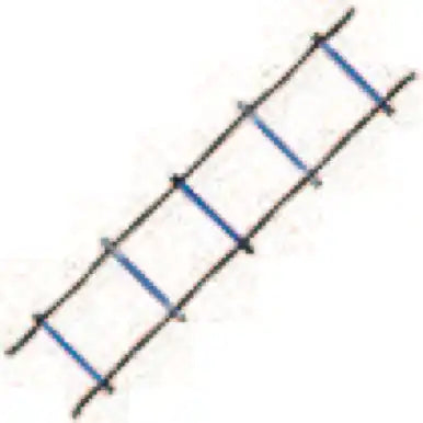 Champion Sports Aglclr Sectioned Agility Ladder - Ea