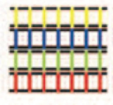 Champion Sports Aglclr Sectioned Agility Ladder - Ea