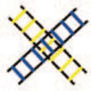 Champion Sports Aglclr Sectioned Agility Ladder - Ea