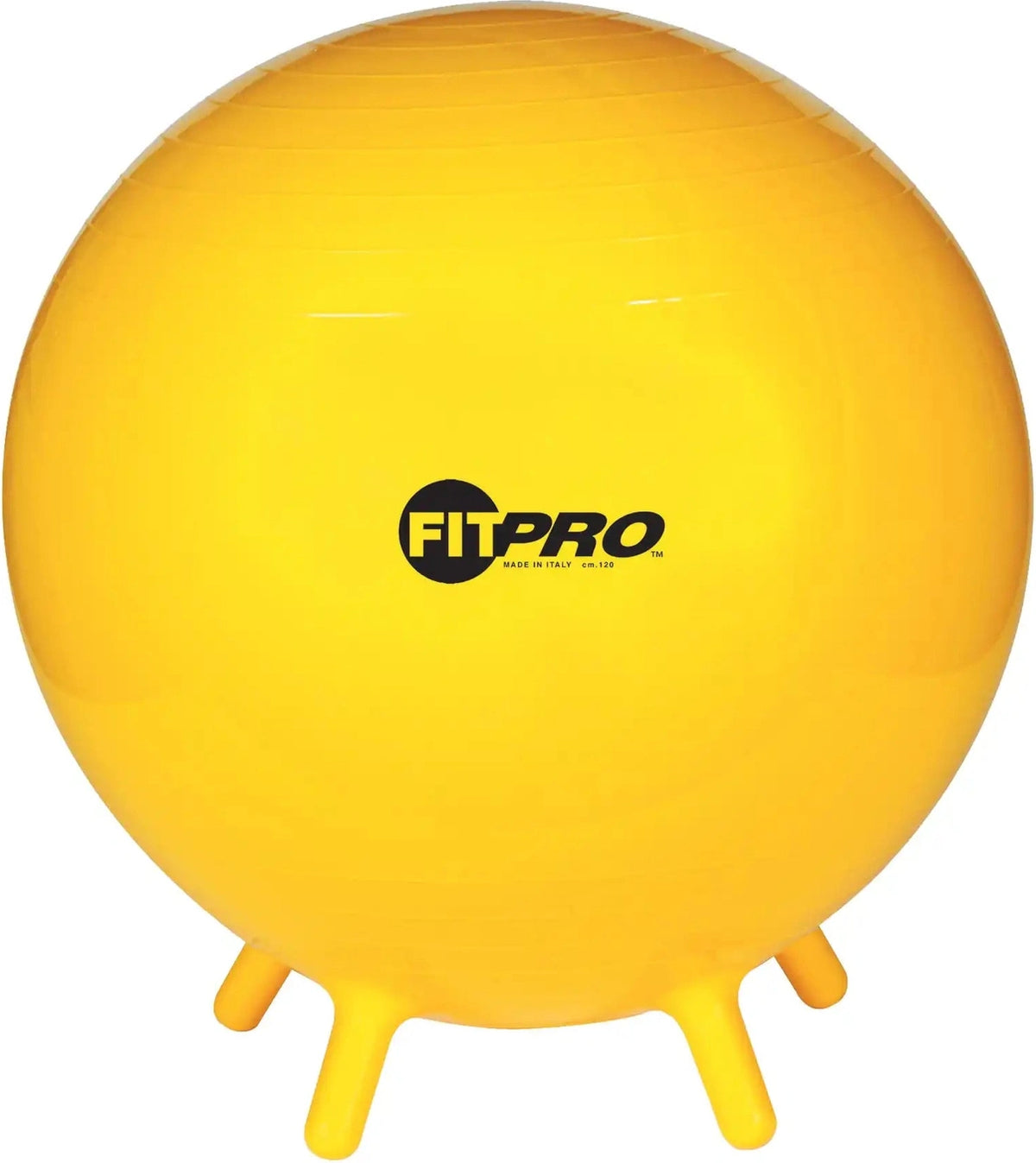 Champion Sports Bl Fitpro Ball with Stability Legs - Ea - 65 Cm