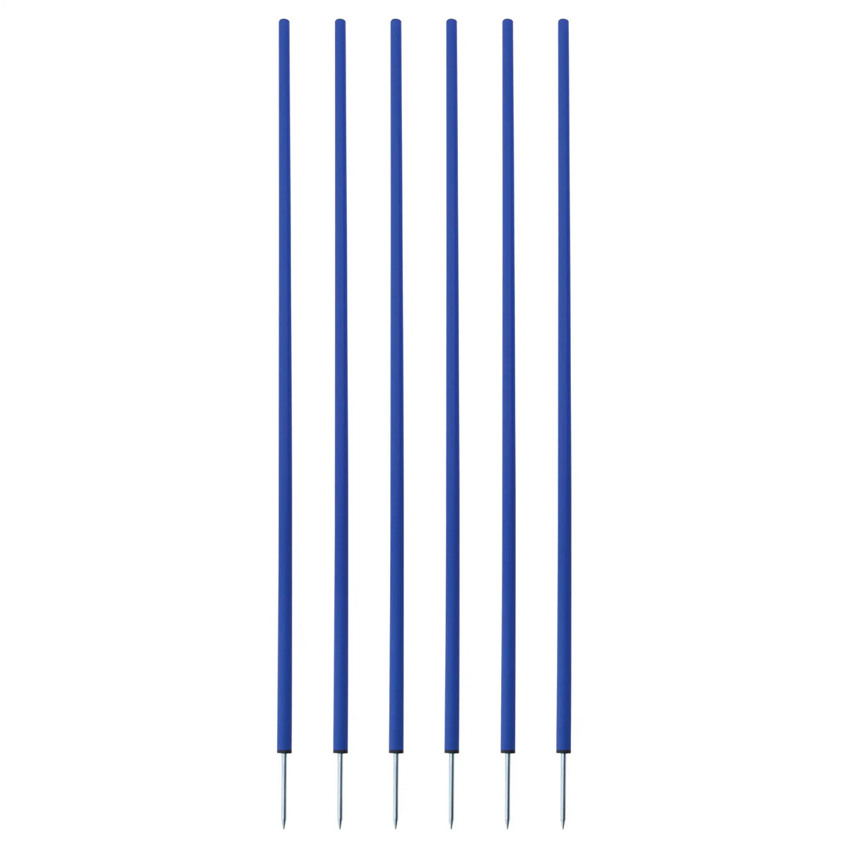 Champion Sports Cs6 Coaching Sticks Set of 6 - Blue