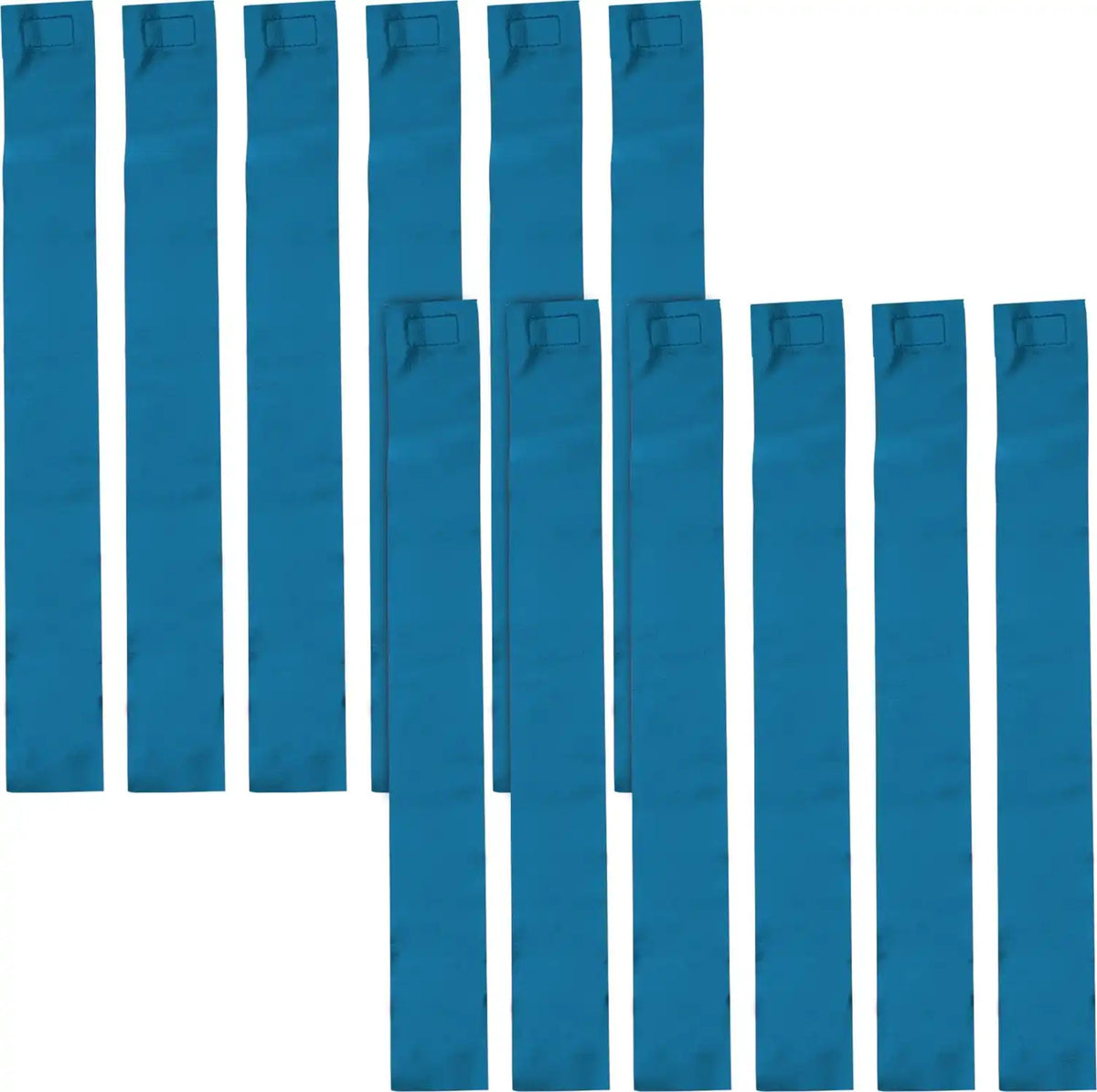 Champion Sports Ffb2 Flag Football Replacement Flags - Doz - Blue