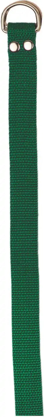 Champion Sports Ffb3 Football Belt - Ea - Green