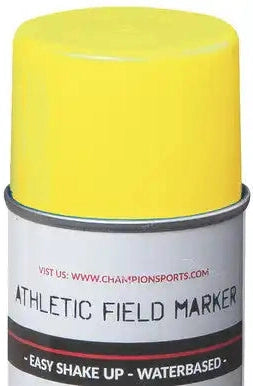 Champion Sports Fmp Field Marking Paint - 12 Pk
