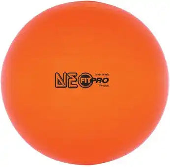 Champion Sports Fp4 Fitpro Training/exercise Ball 42 Cm - Ea