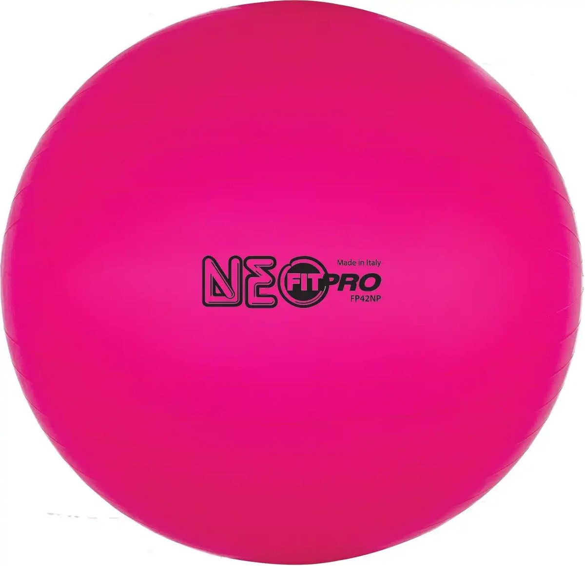 Champion Sports Fp4 Fitpro Training/exercise Ball 42 Cm - Ea - Neon Pink