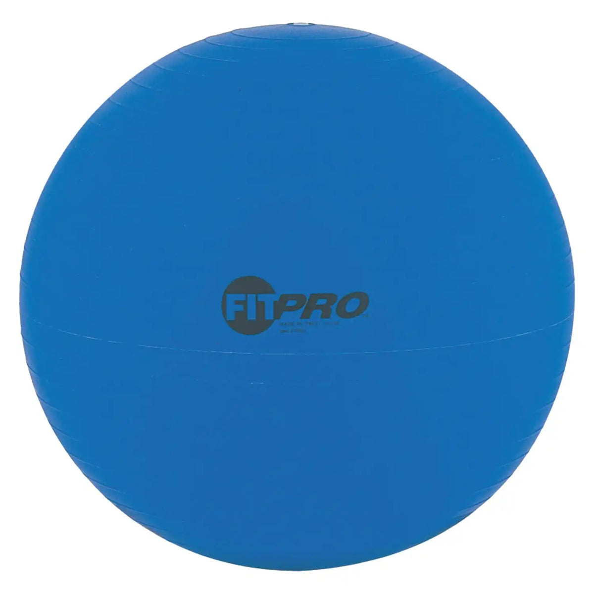 Champion Sports Fp5 Fitpro Training/exercise Ball 53 Cm - Ea - Blue