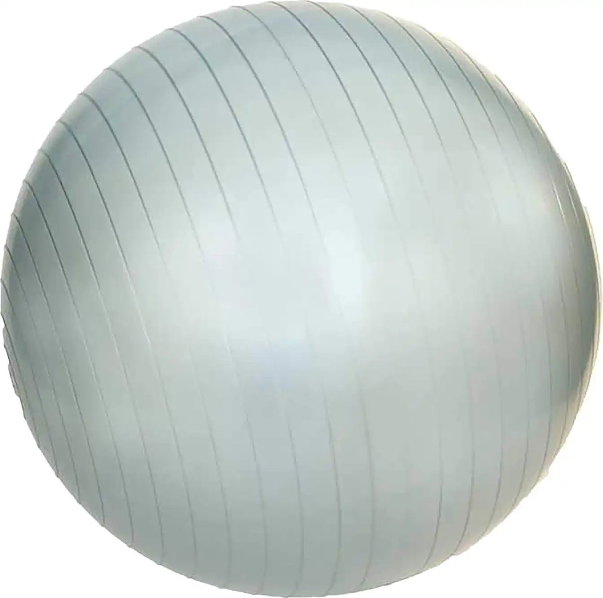 Champion Sports J-gymb Anti-burst Gym Ball - Ea - 55 Cm