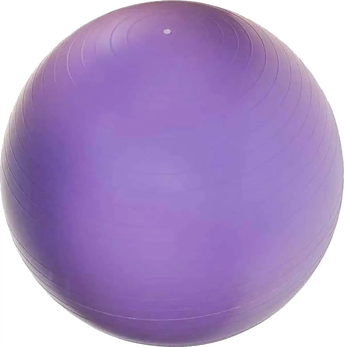 Champion Sports J-gymb Anti-burst Gym Ball - Ea - 65 Cm