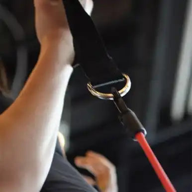 Champion Sports J-tfh Resistance Tubing with Fixed Handles - Ea