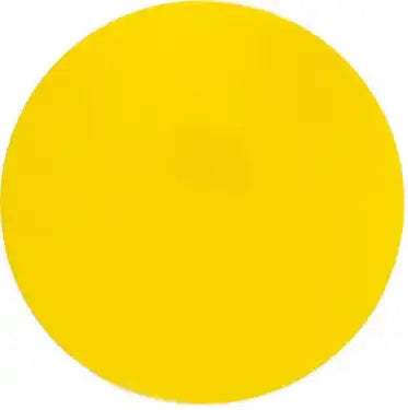 Champion Sports Msp Poly Spot Marker - Doz