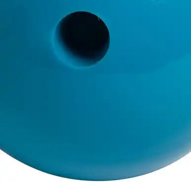Champion Sports Pb Rubberized Plastic Bowling Ball - Ea