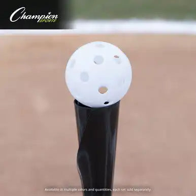 Champion Sports Plbb Plastic Baseballs - Doz