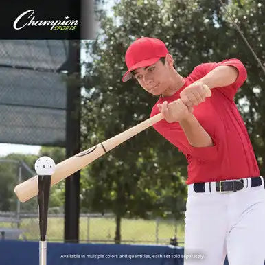 Champion Sports Plbb Plastic Baseballs - Doz