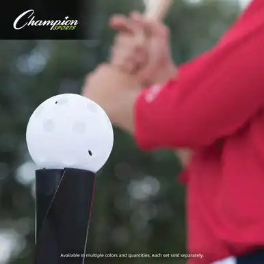 Champion Sports Plbb Plastic Baseballs - Doz