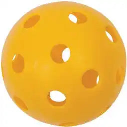 Champion Sports Plbb Plastic Baseballs - Doz