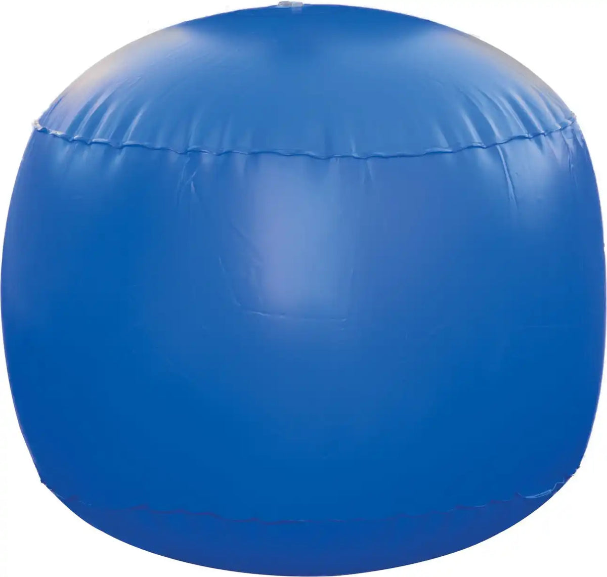 Champion Sports Rcb Vinyl Cage Ball Bladder - Ea - 48’’