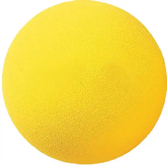 Champion Sports Rd Uncoated Regular Density Foam Ball - Ea - 3’’ d