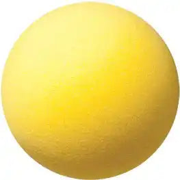 Champion Sports Rd Uncoated Regular Density Foam Ball - Ea - 6’’ d