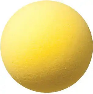 Champion Sports Rd Uncoated Regular Density Foam Ball - Ea - 7’’ d