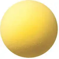 Champion Sports Rd Uncoated Regular Density Foam Ball - Ea